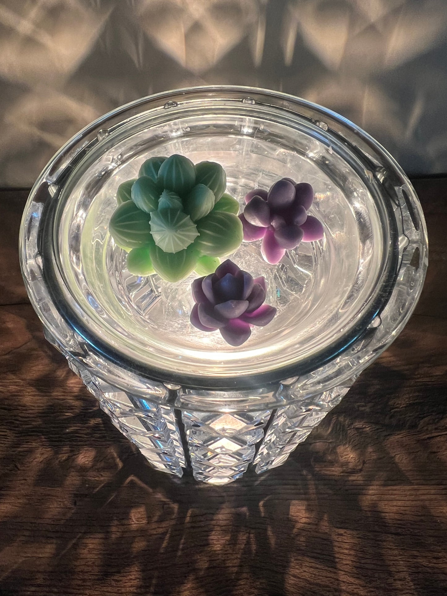 Succulent wax melts - Slandis Creations LLC