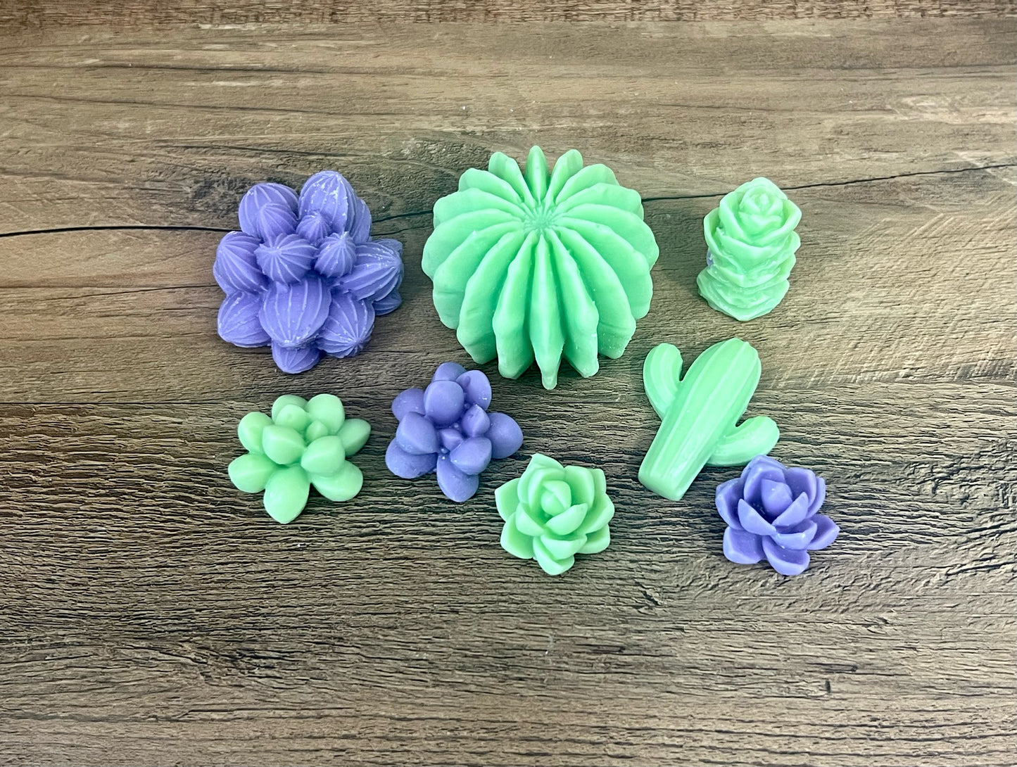 Succulent wax melts - Slandis Creations LLC