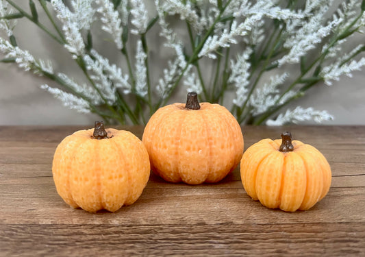 Pumpkin wax melts - Slandis Creations LLC